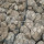 Panier en gabions galvanisé de 3,9 mm pour le projet River Bank